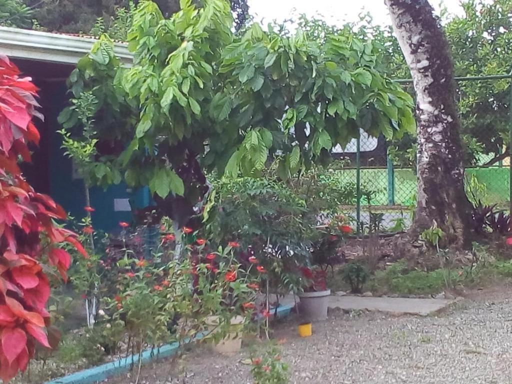Cabinas Surf Side Cahuita Dış mekan fotoğraf