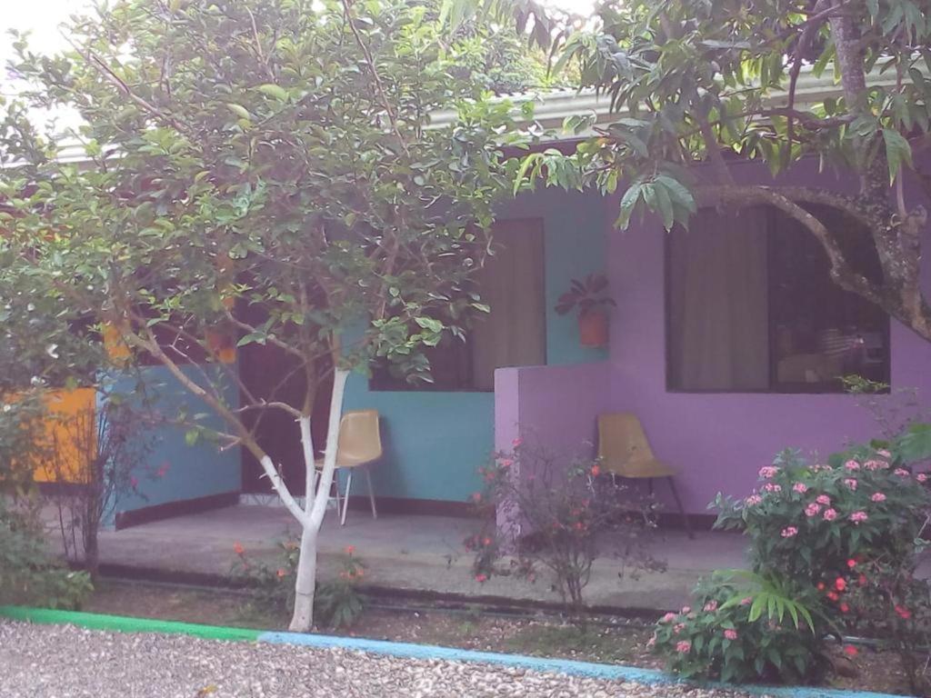 Cabinas Surf Side Cahuita Dış mekan fotoğraf