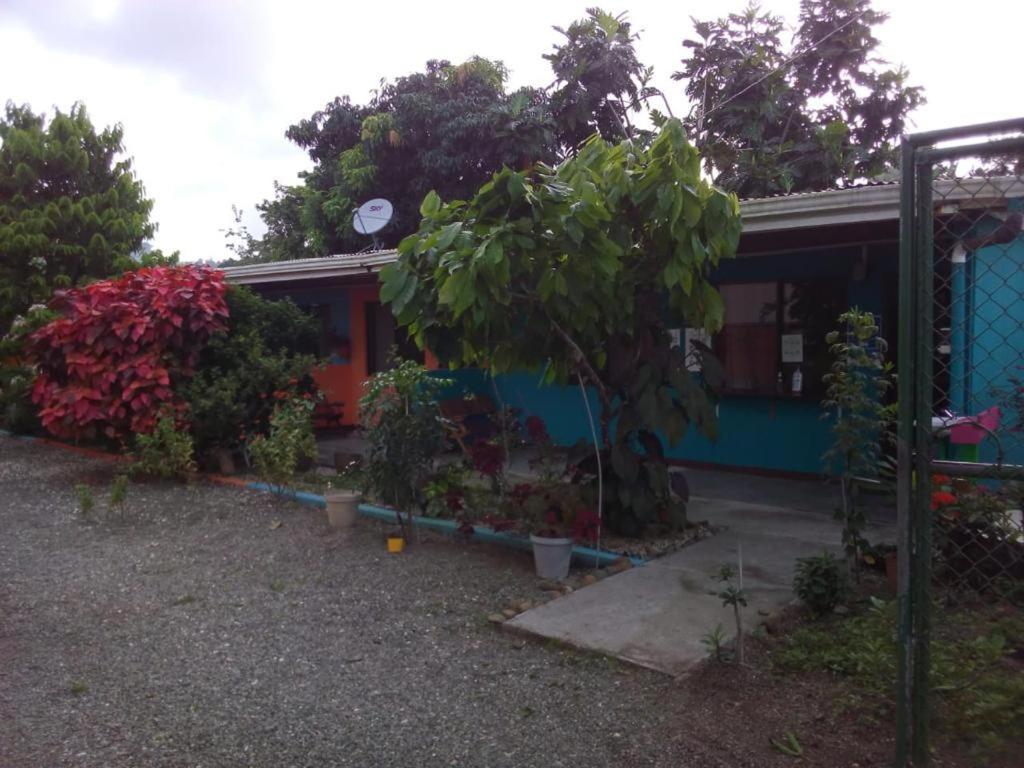 Cabinas Surf Side Cahuita Dış mekan fotoğraf