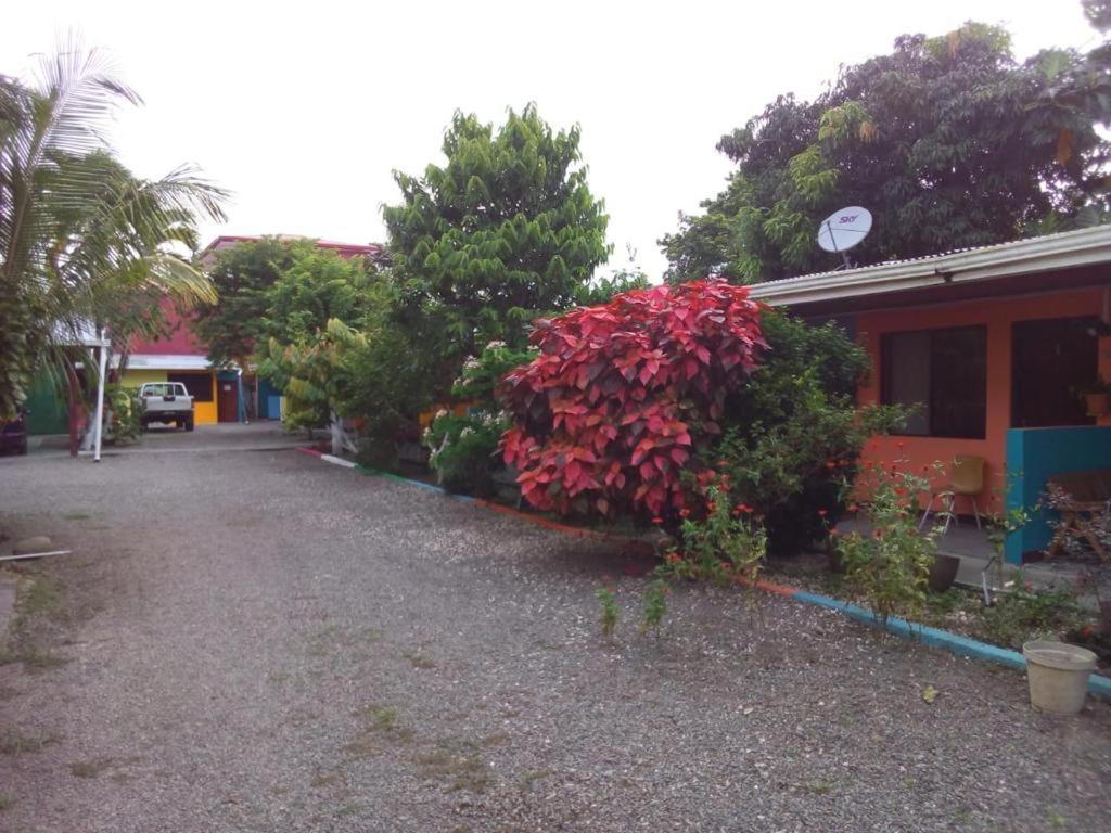 Cabinas Surf Side Cahuita Dış mekan fotoğraf
